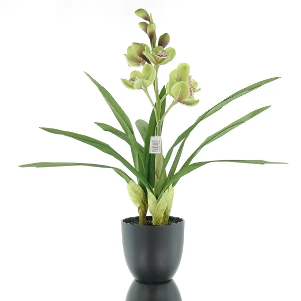 GASPER Cymbidie schwarzer Topf Ø 11,5 cm Grün 46 cm - Kunstpflanzen