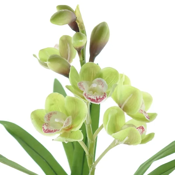 GASPER Cymbidie schwarzer Topf Ø 11,5 cm Grün 46 cm - Kunstpflanzen