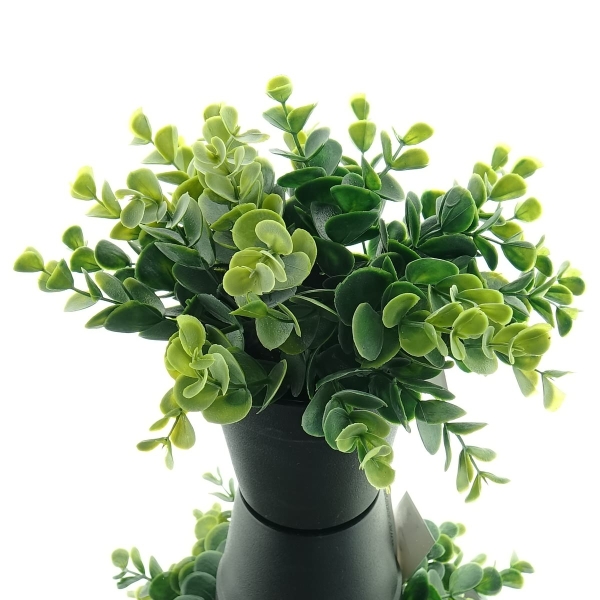 GASPER Eukalyptus Grün breiter Pflanzenaufbau schwarzer Topf 20 cm - Kunstpflanzen