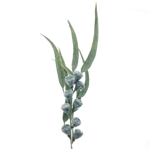 GASPER Eukalyptusfruchtzweig Grau & Grün 40 cm - Kunstblumen GASPER Eukalyptusfruchtzweig Grau & Grün 40 cm - Kunstblumen