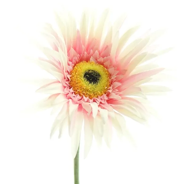 GASPER Gerbera Creme & Rosa 66 cm - Kunstblumen GASPER Gerbera Creme & Rosa 66 cm - Kunstblumen