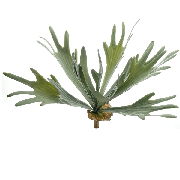 GASPER Geweihfarn Silbrig-Grün 33 cm - Kunstblumen