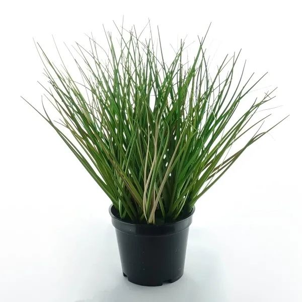 GASPER Gras Grün M im schwarzen Topf Ø 10,5 cm - Kunstpflanzen GASPER Gras Grün M im schwarzen Topf Ø 10,5 cm - Kunstpflanzen