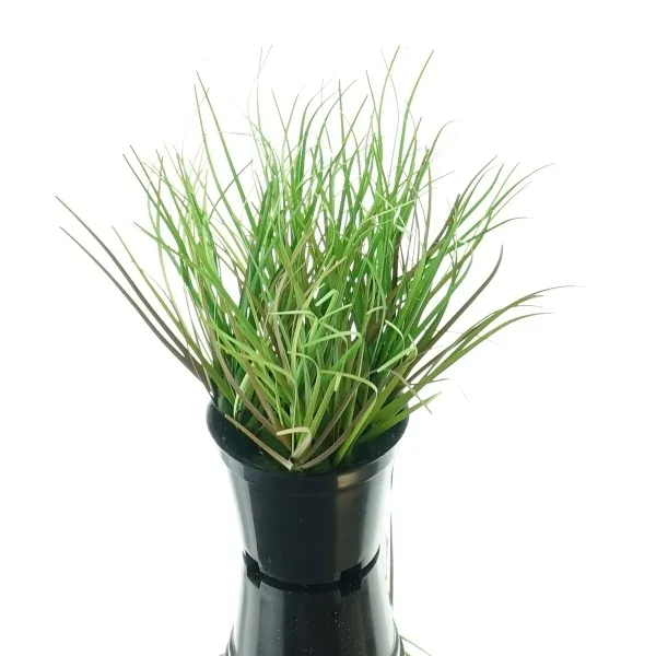 GASPER Gras Grün S im schwarzen Topf Ø 8 cm - Kunstpflanzen GASPER Gras Grün S im schwarzen Topf Ø 8 cm - Kunstpflanzen