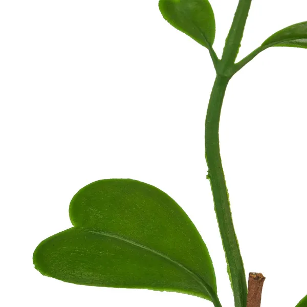 GASPER Herzblatt-Hoya Grün im schwarzen Topf Ø 9,5 cm Höhe 56 cm - Kunstpflanzen