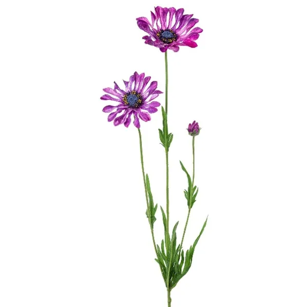 GASPER Kapmargeritenblüten Lila-Violett löffelblättrig 66 cm - Kunstblumen GASPER Kapmargeritenblüten Lila-Violett löffelblättrig 66 cm - Kunstblumen