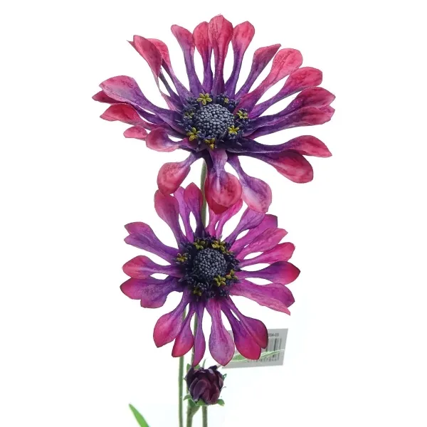 GASPER Kapmargeritenblüten Pink-Bordeaux löffelblättrig 66 cm - Kunstblumen