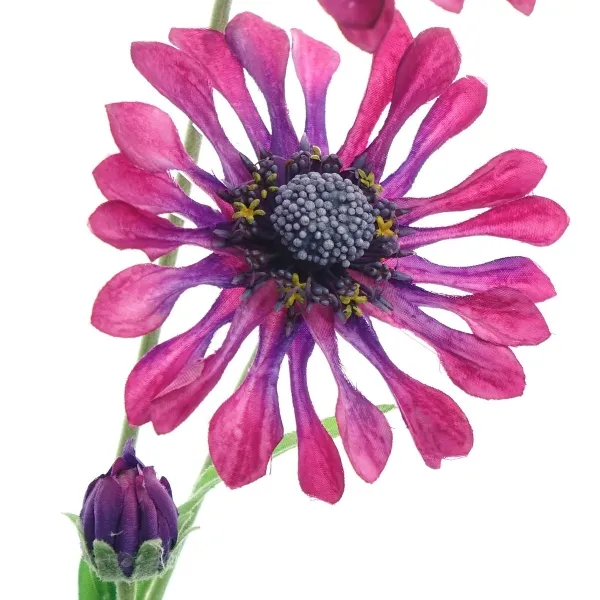 GASPER Kapmargeritenblüten Pink-Bordeaux löffelblättrig 66 cm - Kunstblumen