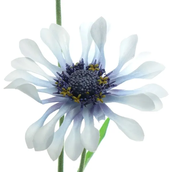 GASPER Kapmargeritenblüten Weiß-Blau löffelblättrig 66 cm - Kunstblumen
