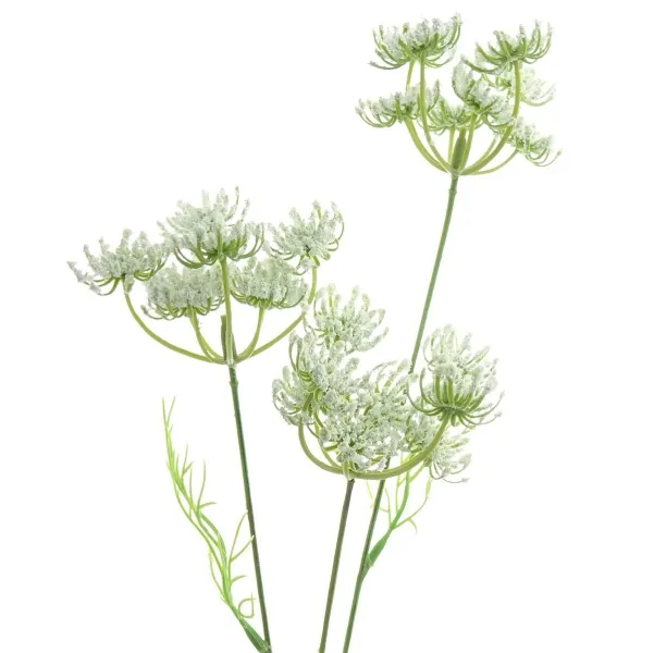 GASPER Knorpelmöhre - Ammi majus Weiß 52 cm - Kunstblumen