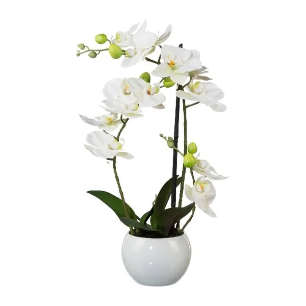 Gasper Kunstpflanze Phalaenopsis 3D-Print im Keramiktopf, 42 cm, weiß, Real Touch