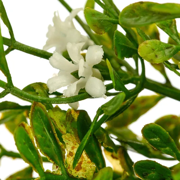 GASPER Lobelienkranz Weiß/Grün Ø 30 cm x 7 cm - Kunstblumen