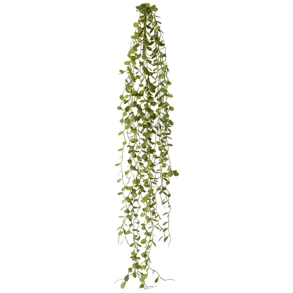 GASPER Mühlenbeckia-Hänger 71 cm - grün