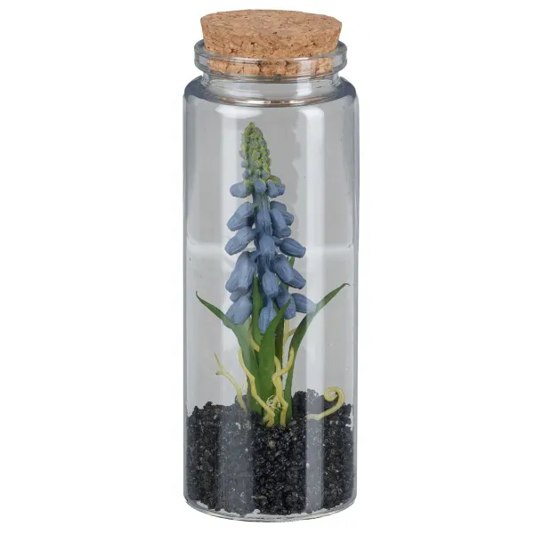 GASPER Muscari im Glas mit Deckel 12,5 cm blau GASPER Muscari im Glas mit Deckel 12,5 cm blau