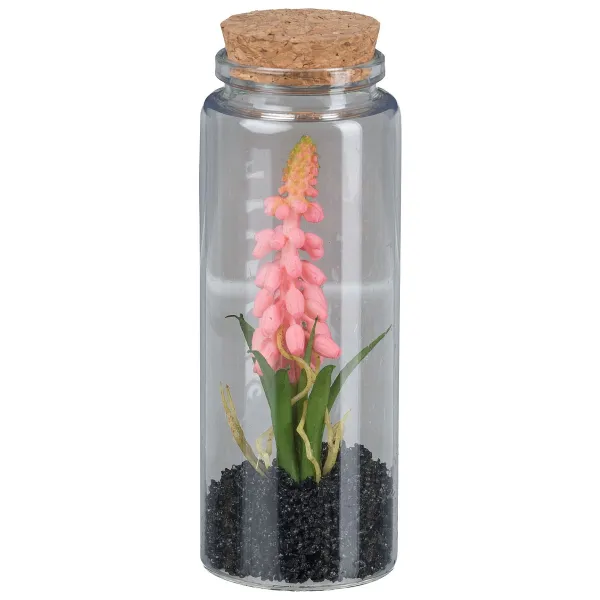 GASPER Muscari im Glas mit Deckel 12,5 cm rosa