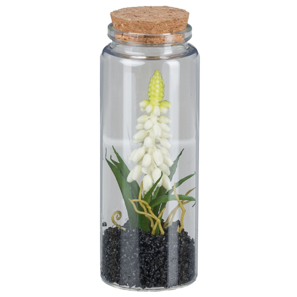 GASPER Muscari im Glas mit Deckel 12,5 cm weiß