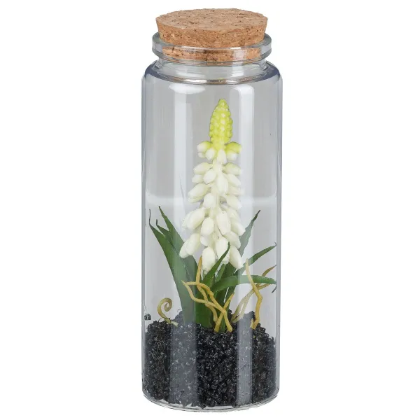 GASPER Muscari im Glas mit Deckel 12,5 cm weiß