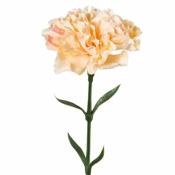 GASPER Nelke Apricot 67 cm - Kunstblumen GASPER Nelke Apricot 67 cm - Kunstblumen