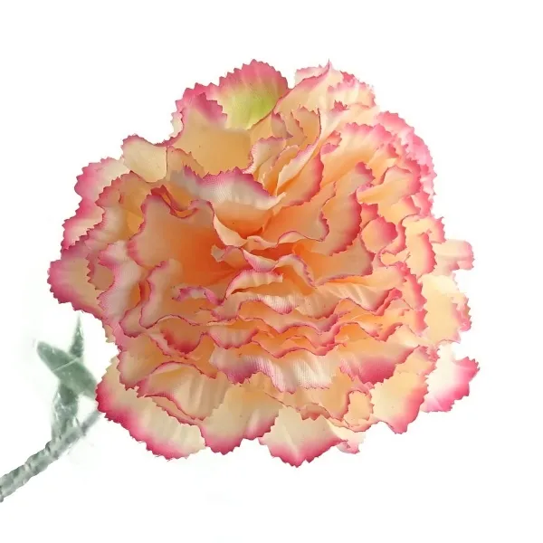 GASPER Nelke Apricot mit rosafarbenem Rand 66 cm - Kunstblumen
