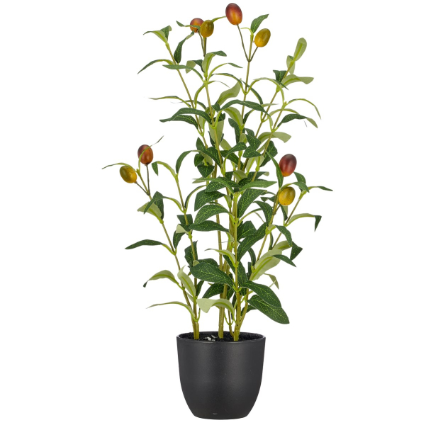 GASPER Olivenstrauch Grün mit 8 Früchten & schwarzem Topf 48 cm - Kunstpflanzen