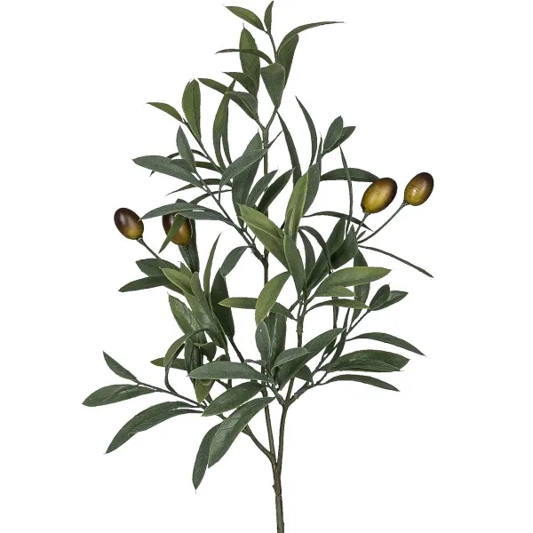 GASPER Olivenzweig Grün mit 4 Oliven 56 cm - Kunstpflanzen GASPER Olivenzweig Grün mit 4 Oliven 56 cm - Kunstpflanzen
