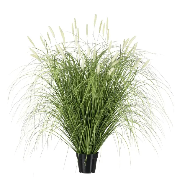 GASPER Pennisetum im Topf 115 cm