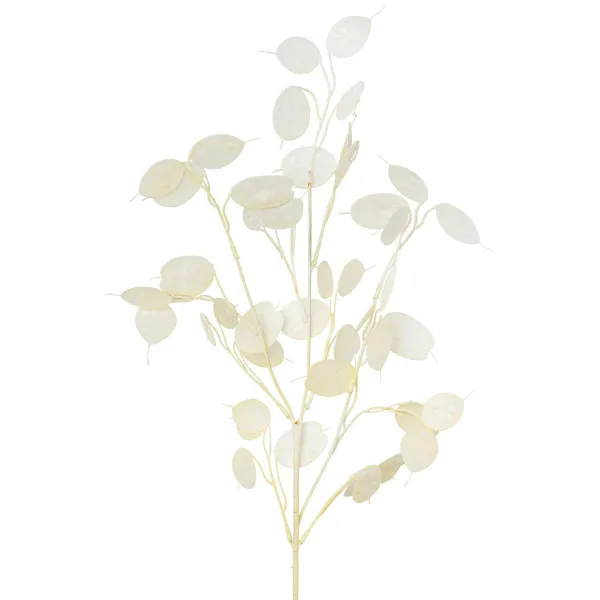 GASPER Silberblatt-Lunaria Pfennigblatt Creme 76 cm - Kunstpflanzen