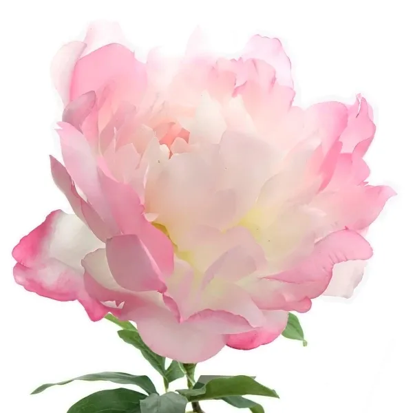GASPER Pfingstrose - Peonia Rosa 66 cm - Kunstblumen GASPER Pfingstrose - Peonia Rosa 66 cm - Kunstblumen