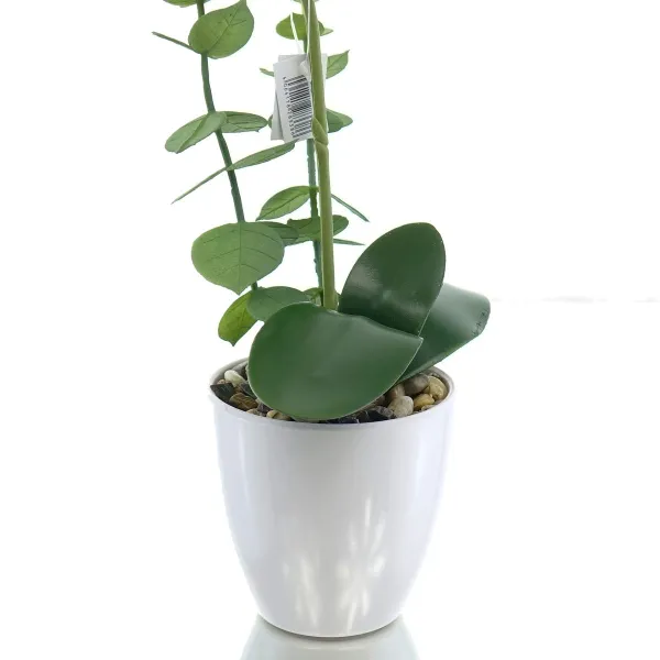 GASPER Phalaenopsis x6, 40cm, pink-beige, im weißen Melamintopf 9x9cm, Real Touch