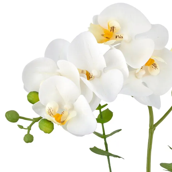 GASPER Phalaenopsis x6, 40cm, weiß, im weißen Melamintopf 9x9cm, Real Touch