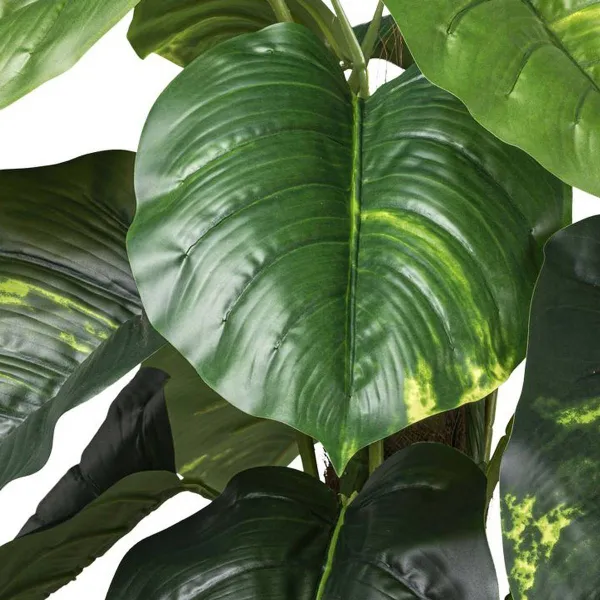 GASPER Philodendron scandens mit Cocosstamm 90 cm grün im Kunststofftopf