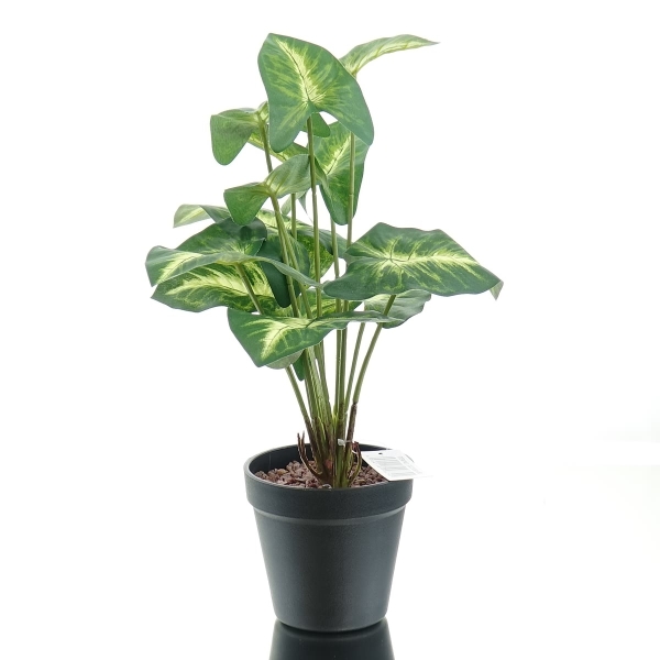 GASPER Purpurtute - Syngonium pixi Grün-Gelb Kunststofftopf 38 cm - Kunstpflanzen
