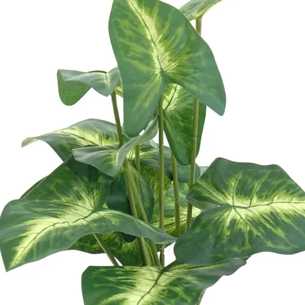 GASPER Purpurtute - Syngonium pixi Grün-Gelb Kunststofftopf 38 cm - Kunstpflanzen