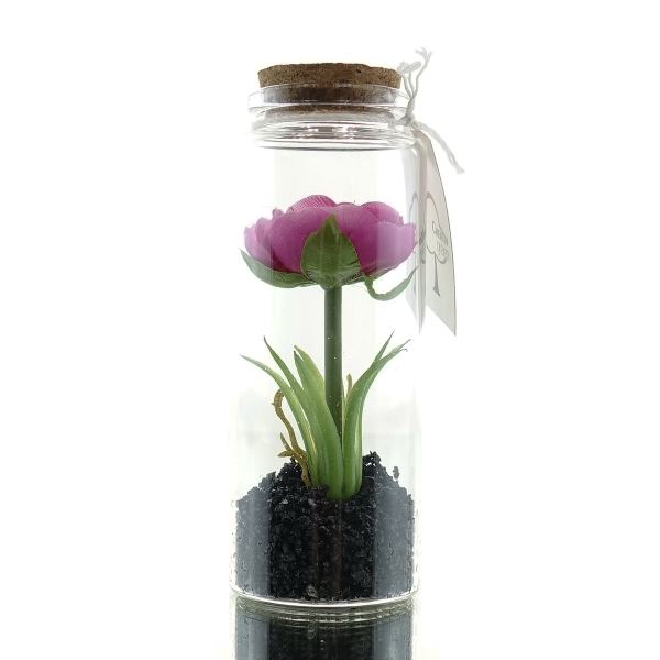 GASPER Ranunkel im Glas mit Deckel 12,5 cm pink