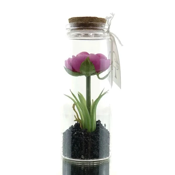 GASPER Ranunkel im Glas mit Deckel 12,5 cm pink