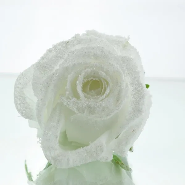 GASPER Rosenblüte Weiß beeist mit Krokodilklemme Ø 10 cm - Kunstblumen