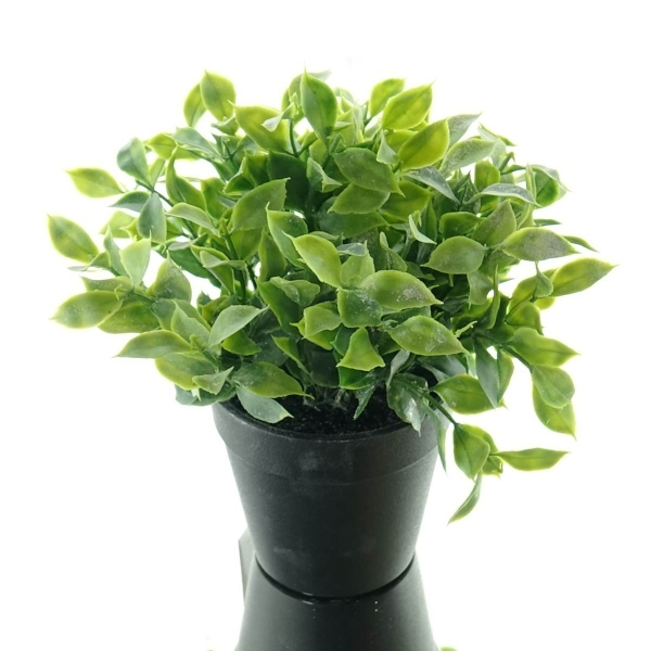 GASPER Ruscus Grün breiter Pflanzenaufbau schwarzer Topf 20 cm - Kunstpflanzen