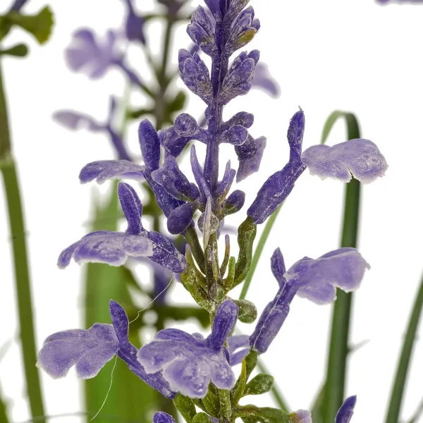 GASPER Salviengras im Topf Ø 13,5 cm Lila 93 cm - Kunstpflanzen