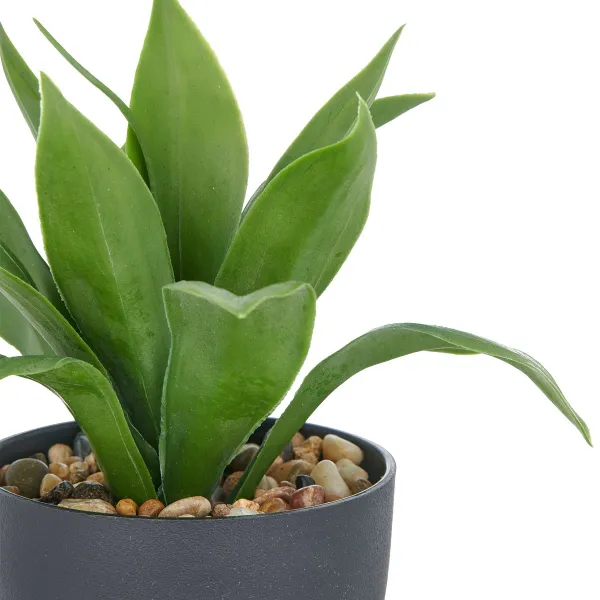 GASPER Sansevieria Moonshine - Bogenhanf im Kunststofftopf mit Kies 20 cm, grün, 11 x 9 cm