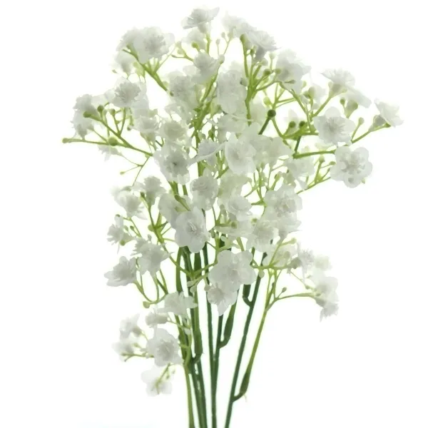 GASPER Schleierkraut - Gypsophila Weiß 48 cm - Kunstblumen GASPER Schleierkraut - Gypsophila Weiß 48 cm - Kunstblumen