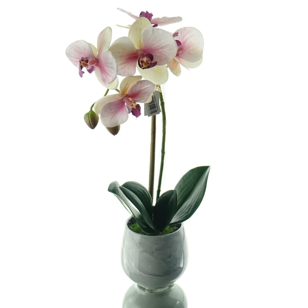 GASPER Schmetterlingsorchidee Creme & Rosa im Keramiktopf  36 cm - Kunstblumen