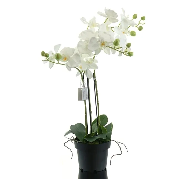 GASPER Schmetterlingsorchidee - Phalaenopsis weiß 62 cm - Kunstpflanzen GASPER Schmetterlingsorchidee - Phalaenopsis weiß 62 cm - Kunstpflanzen