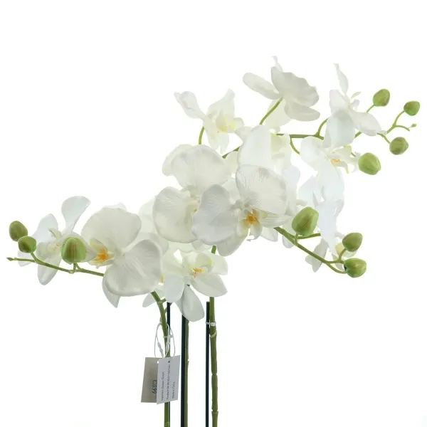 GASPER Schmetterlingsorchidee - Phalaenopsis weiß 62 cm - Kunstpflanzen