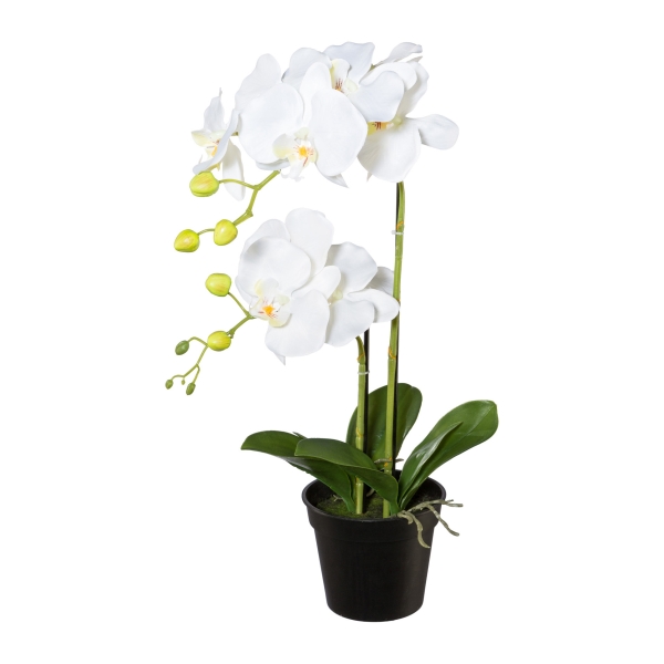 GASPER Schmetterlingsorchidee - Phalaenopsis Weiß im Topf 55 cm - Kunstblumen