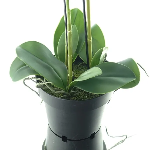 GASPER Schmetterlingsorchidee - Phalaenopsis Weiß im Topf 55 cm - Kunstblumen