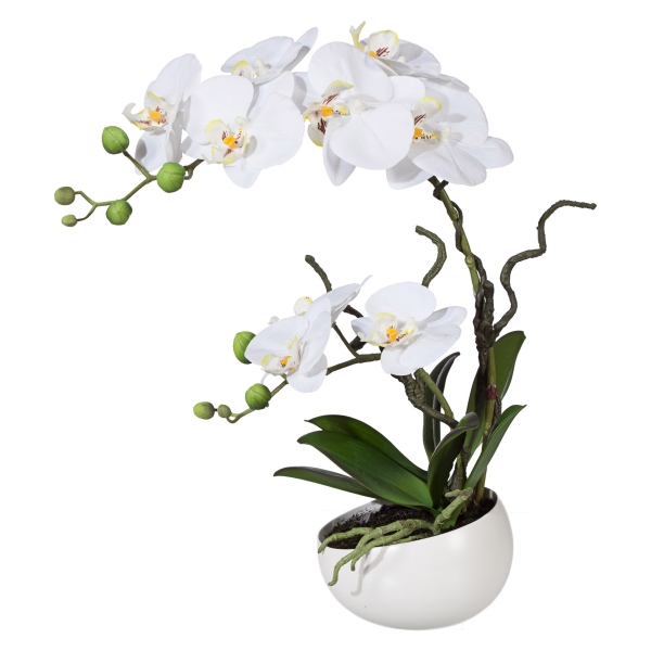 GASPER Schmetterlingsorchidee - Phalaenopsis Weiß in weißer Schale 48 cm - Kunstpflanzen
