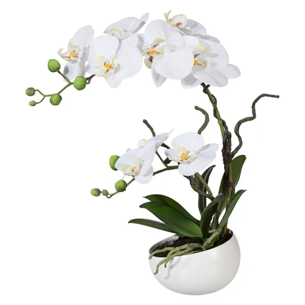 GASPER Schmetterlingsorchidee - Phalaenopsis Weiß in weißer Schale 48 cm - Kunstpflanzen