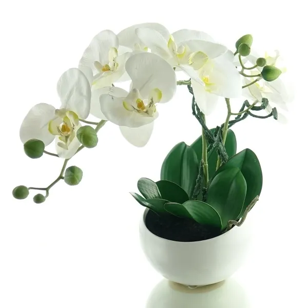 GASPER Schmetterlingsorchidee - Phalaenopsis Weiß in weißer Schale 48 cm - Kunstpflanzen