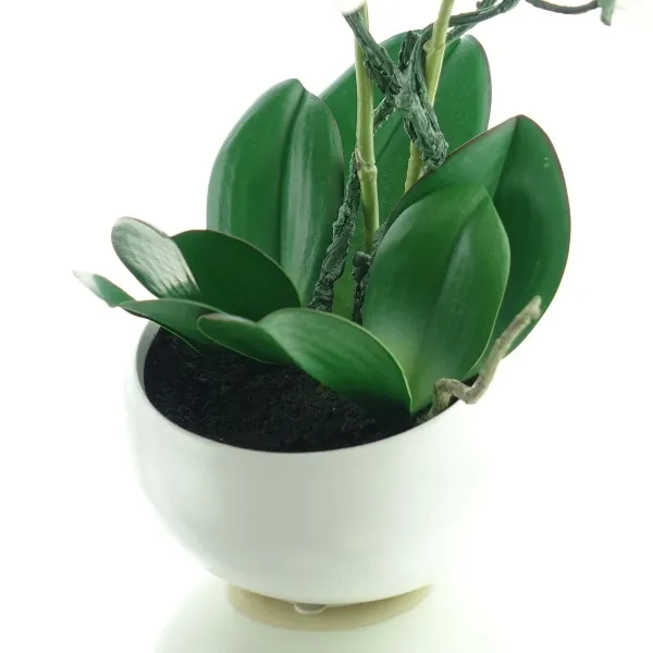 GASPER Schmetterlingsorchidee - Phalaenopsis Weiß in weißer Schale 48 cm - Kunstpflanzen