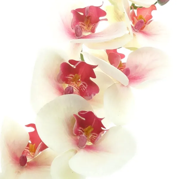 GASPER Schmetterlingsorchidee - Phalenopsis Weiß & rosa Auge 86 cm - Kunstblumen
